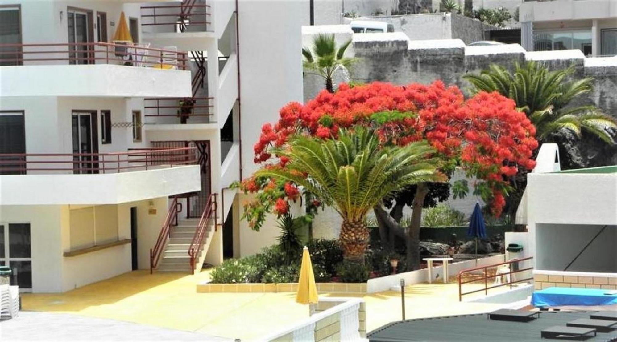 Apartamento Sol & Arena Пуерто де Сантяго Екстериор снимка